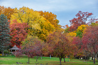 Fall Colors 23-10-26 & 27