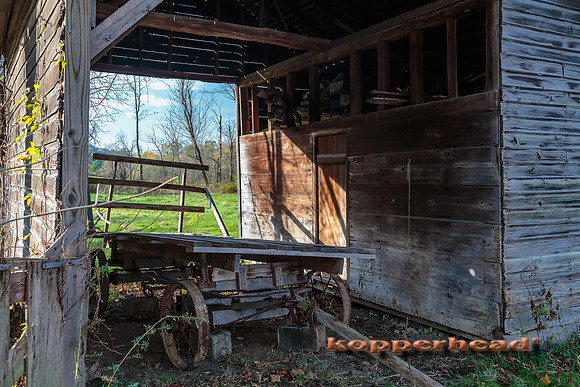 63826 10 2016 Kopperhead