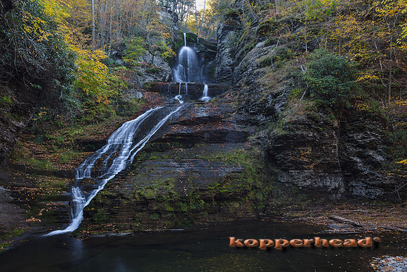 00682 10 2016 Kopperhead