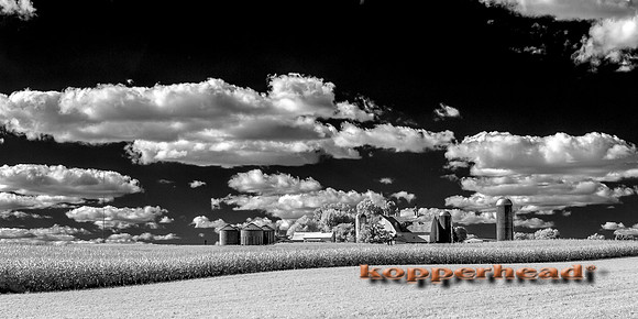 69957ir 09 2016 Kopperhead