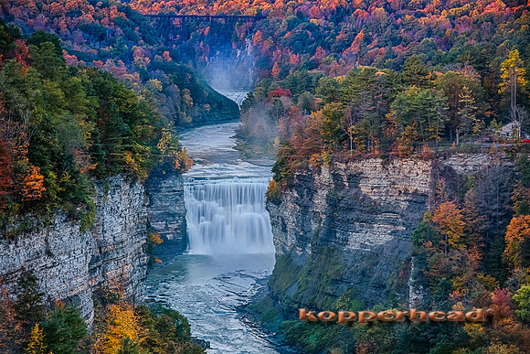 42576h 09 2015 Kopperhead