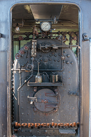 91918 07 2024 Kopperhead