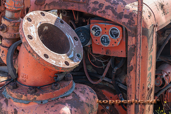 91895 07 2024 Kopperhead