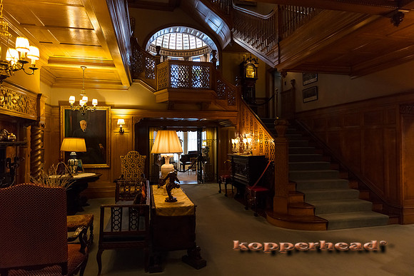 01848 01 2020 Kopperhead