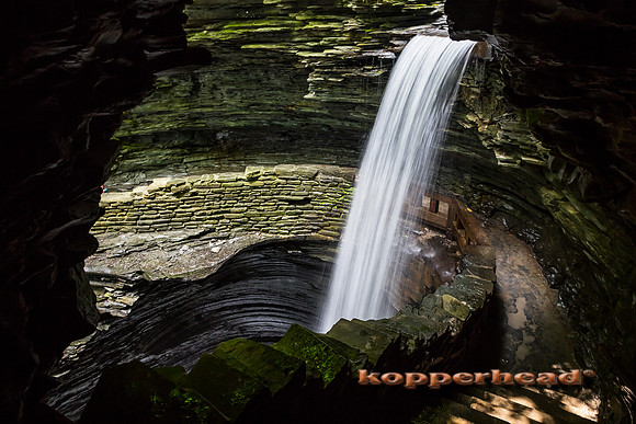 10115 08 2013 Kopperhead