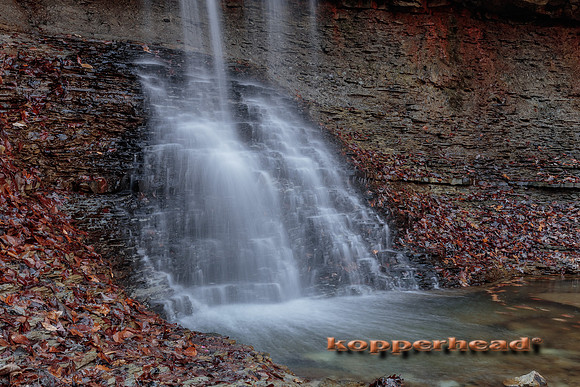 00156 11 2016 Kopperhead