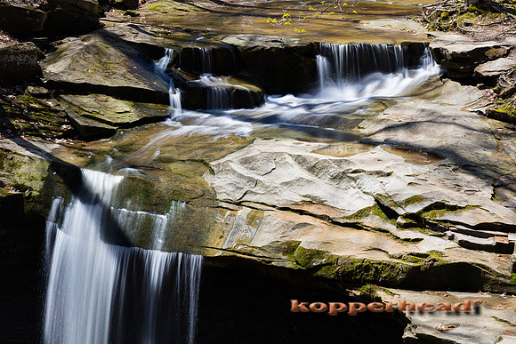 35789 04 2019 Kopperhead