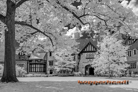 69434ir 05 2016 Kopperhead