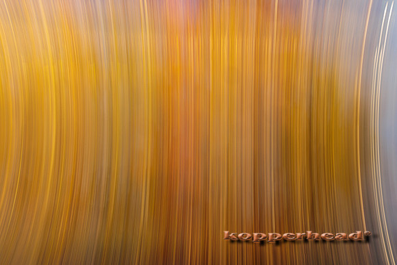 79045 11 2023 Kopperhead