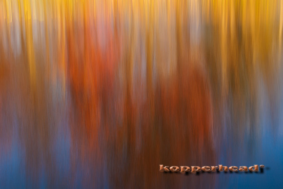 79043 11 2023 Kopperhead