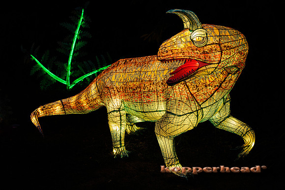 93011 07 2024 Kopperhead
