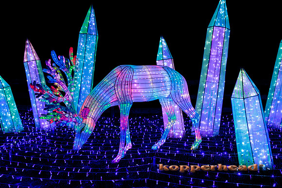 93062 07 2024 Kopperhead