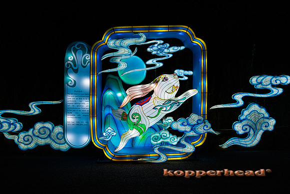 93036 07 2024 Kopperhead
