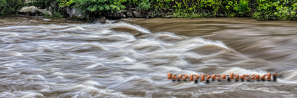 38007hA 06 2019 Kopperhead