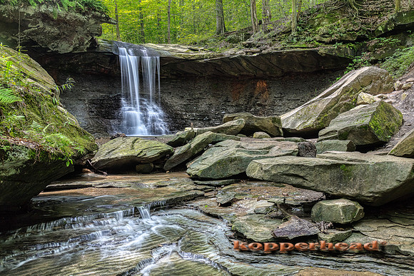 38992hA 06 2019 Kopperhead