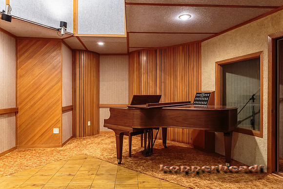 30132 03 2015 Kopperhead