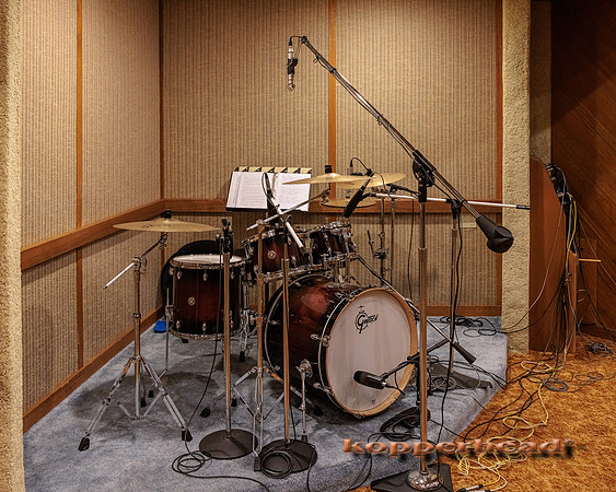 79928 01 2024 Kopperhead