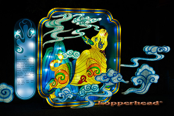 93034 07 2024 Kopperhead