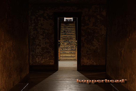 80543 01 2024 Kopperhead
