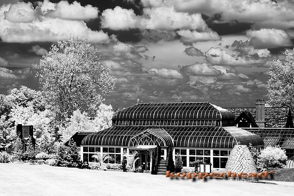 69417ir 05 2016 Kopperhead