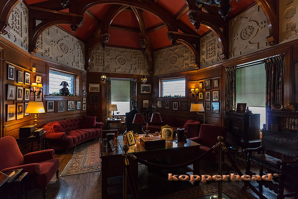 01861 01 2020 Kopperhead