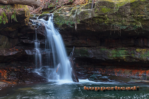 56818 11 2012 Kopperhead