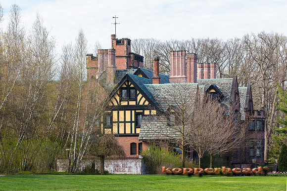 05282 05 2020 Kopperhead