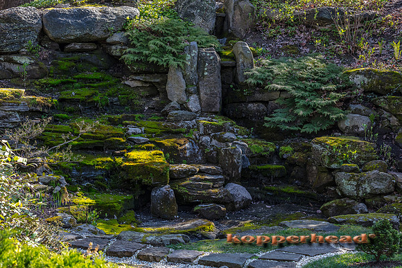 05291 05 2020 Kopperhead