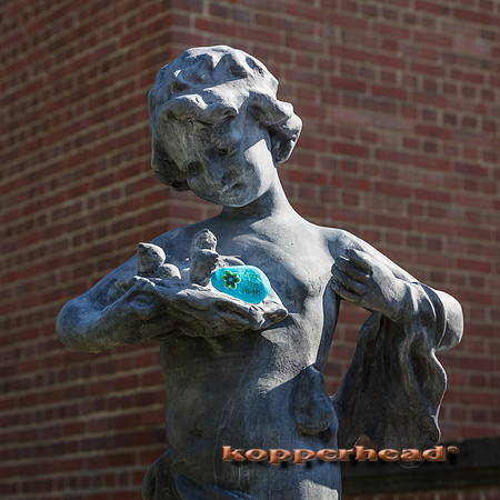 05322 05 2020 Kopperhead