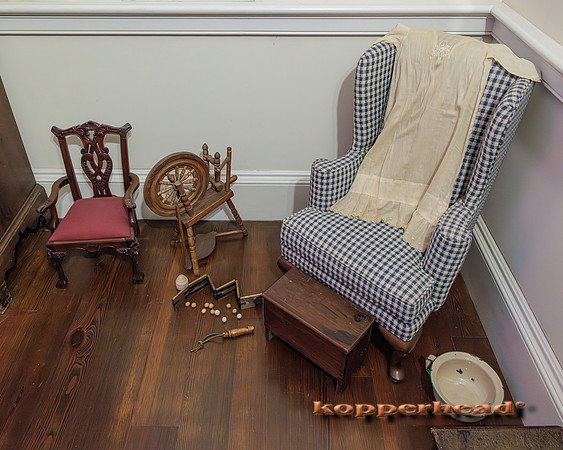 110855 08 2025 Kopperhead