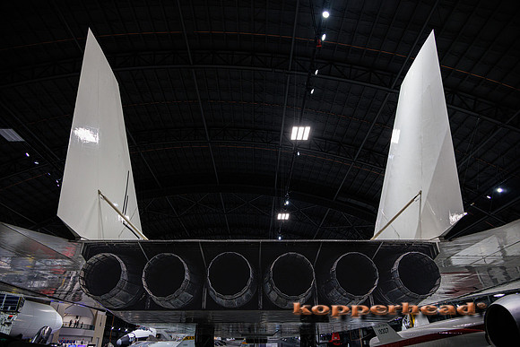 89849 05 2024 Kopperhead