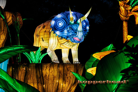 93019 07 2024 Kopperhead