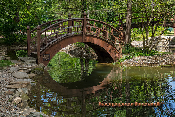 08231 07 2020 Kopperhead