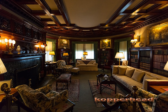 01852 01 2020 Kopperhead