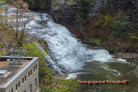 12149 10 2017 Kopperhead