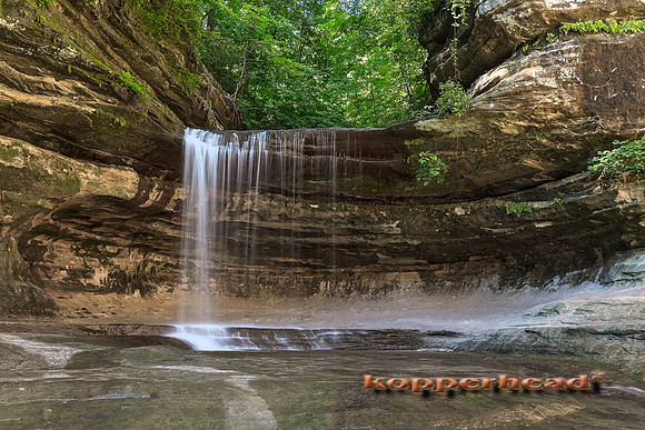 06939h3 06 2017 Kopperhead