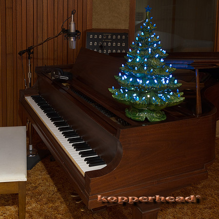 33159 12 2018 Kopperhead