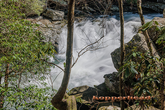 14128 04 2024 Kopperhead