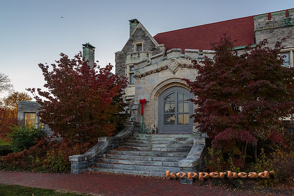 64412 11 2016 Kopperhead