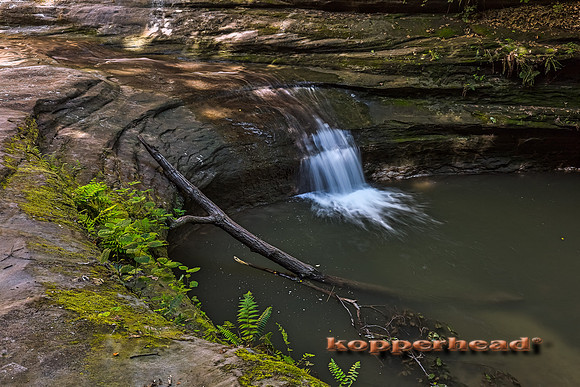 06921h3 06 2017 Kopperhead