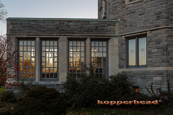 64415 11 2016 Kopperhead