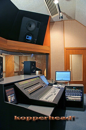 12712x 06 2006 Kopperhead