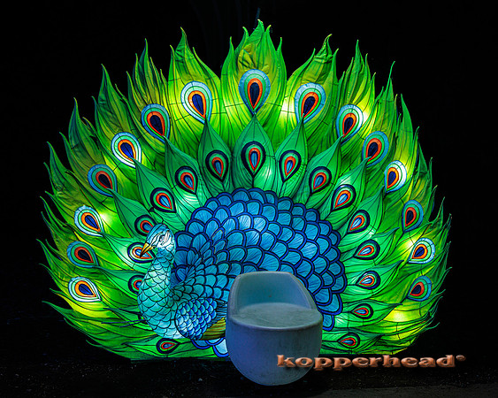 93066 07 2024 Kopperhead