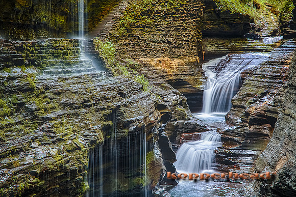 10019 08 2013 Kopperhead_HDR