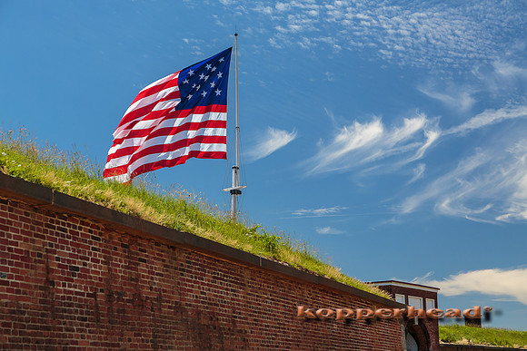 22135 06 2014 Kopperhead