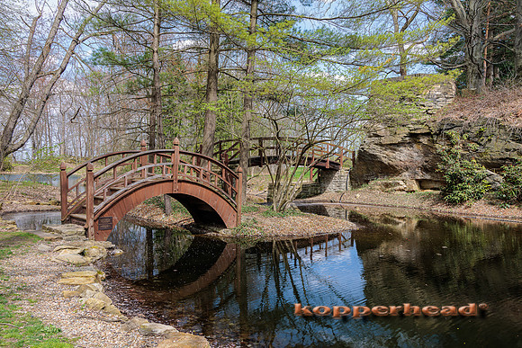 37292 04 2022 Kopperhead
