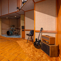 04024 03 2020 Kopperhead