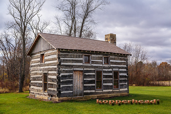13463 11 2013 Kopperhead