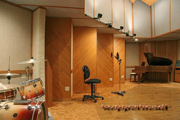 12831x 06 2006 Kopperhead