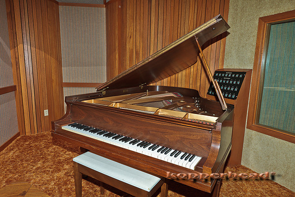 18830 03 2011 Kopperhead